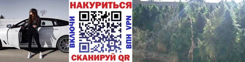 Где можно купить наркотики Егорьевск Alpha PVP  NBOMe  Меф мяу мяу  Гашиш  Cocaine  Галлюциногенные грибы 