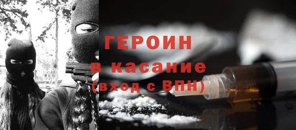 шишки Гусев