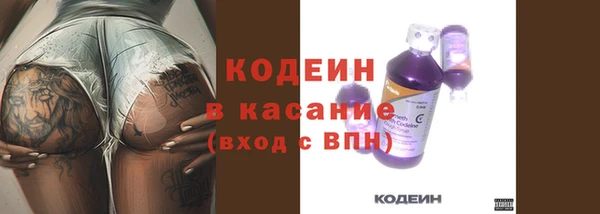 шишки Гусев