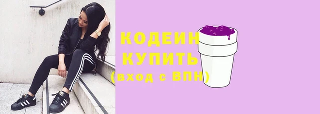 шишки Гусев