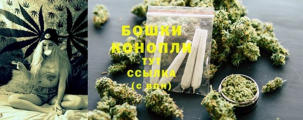 шишки Гусев