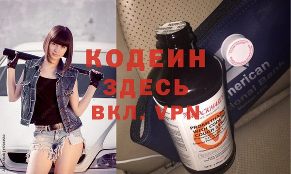шишки Гусев