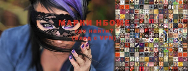 шишки Гусев