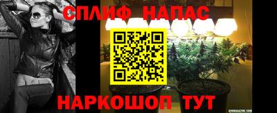 a pvp Будённовск