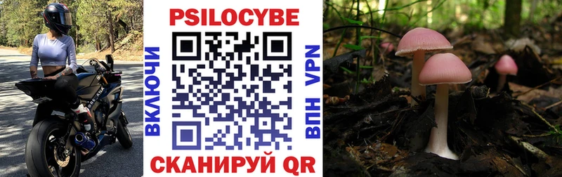 blacksprut как зайти  Егорьевск  Галлюциногенные грибы прущие грибы 