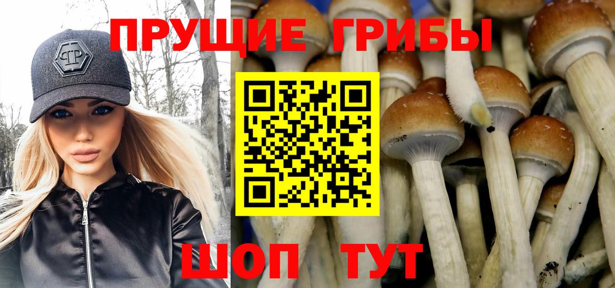 Галлюциногенные грибы GOLDEN TEACHER  Вход с VPN  купить закладку  Егорьевск 